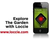 Loccie
